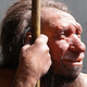 Image for article titled The extinction of Neanderthals had nothing to do with us